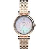 Donna Timex Quarzoorologi Quarzo Donna | Orologio Parisienne Timex Tw2T78800